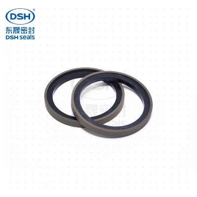 Combined seal ring SPG for heavy load hole