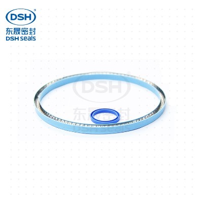 V-type flood seal ring