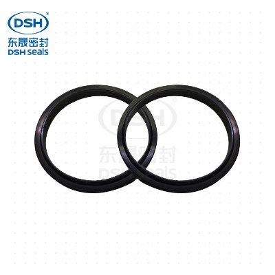Dai dust ring