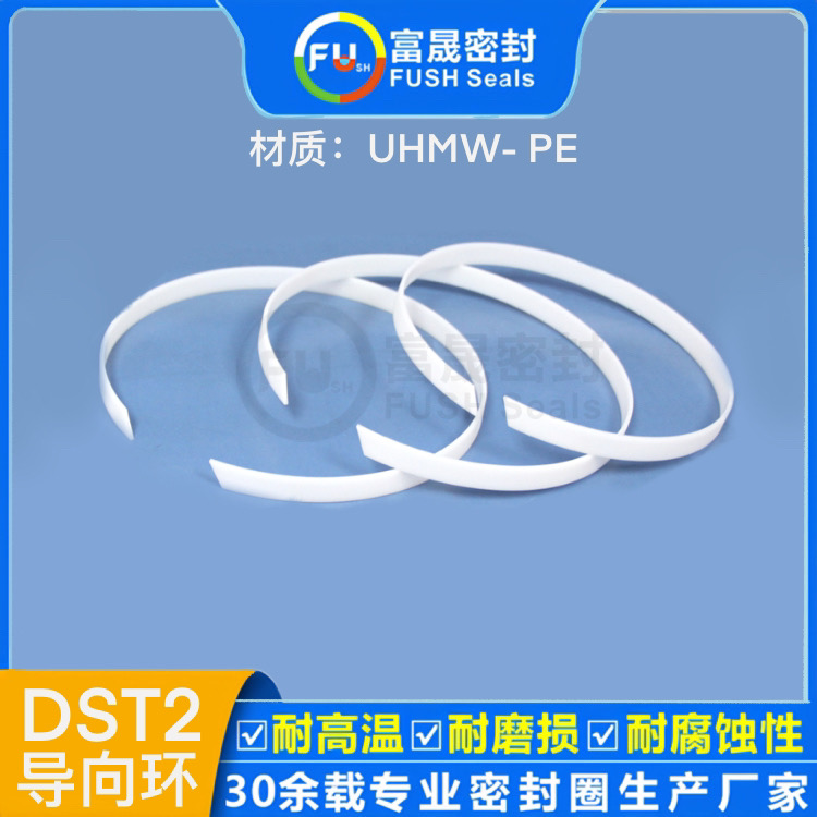 導向環(huán)DST2